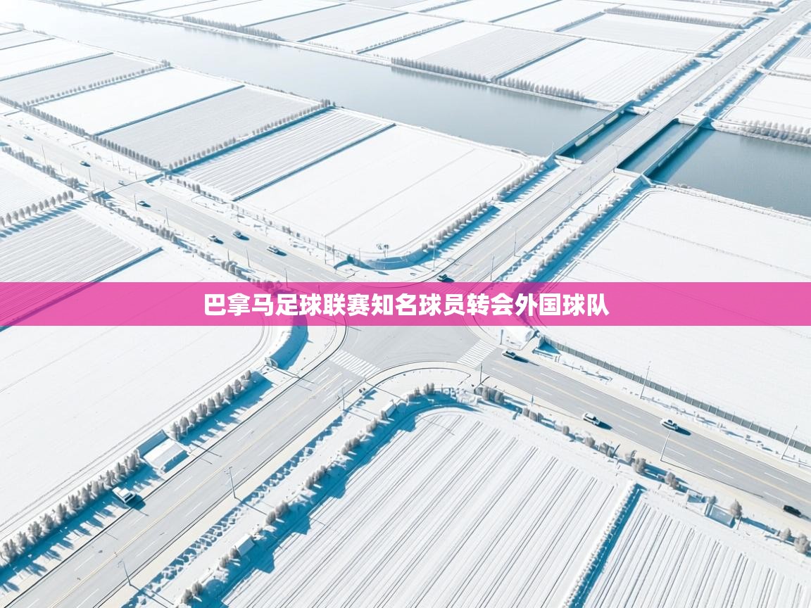 巴拿马足球联赛知名球员转会外国球队  第2张