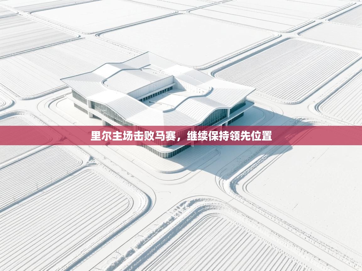 里尔主场击败马赛，继续保持领先位置  第2张