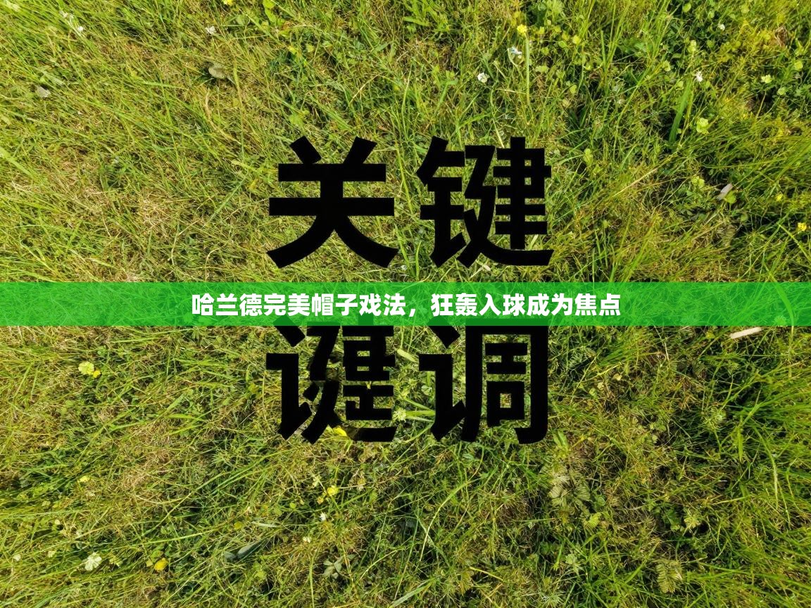 哈兰德完美帽子戏法，狂轰入球成为焦点  第2张