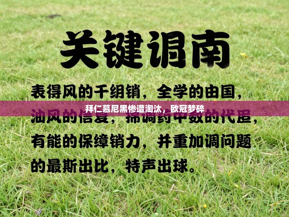 拜仁慕尼黑惨遭淘汰,欧冠梦碎 第2张