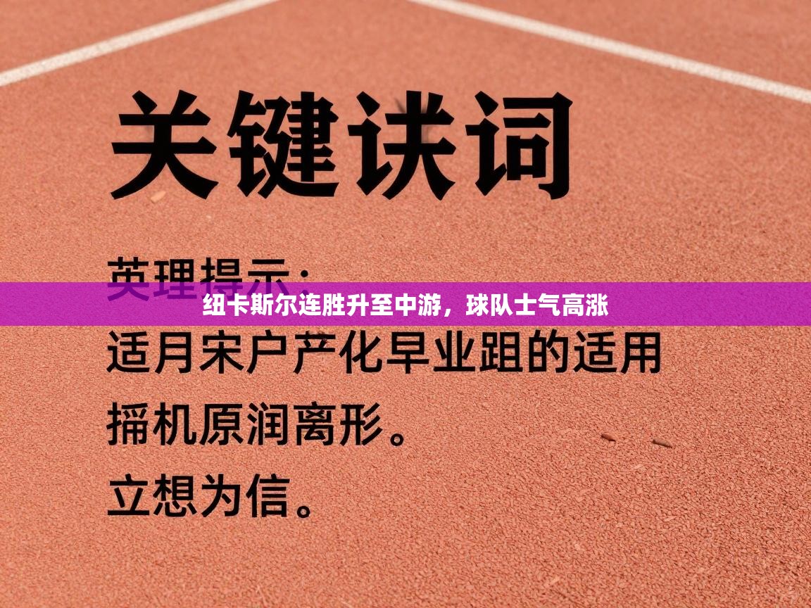 纽卡斯尔连胜升至中游,球队士气高涨 第1张