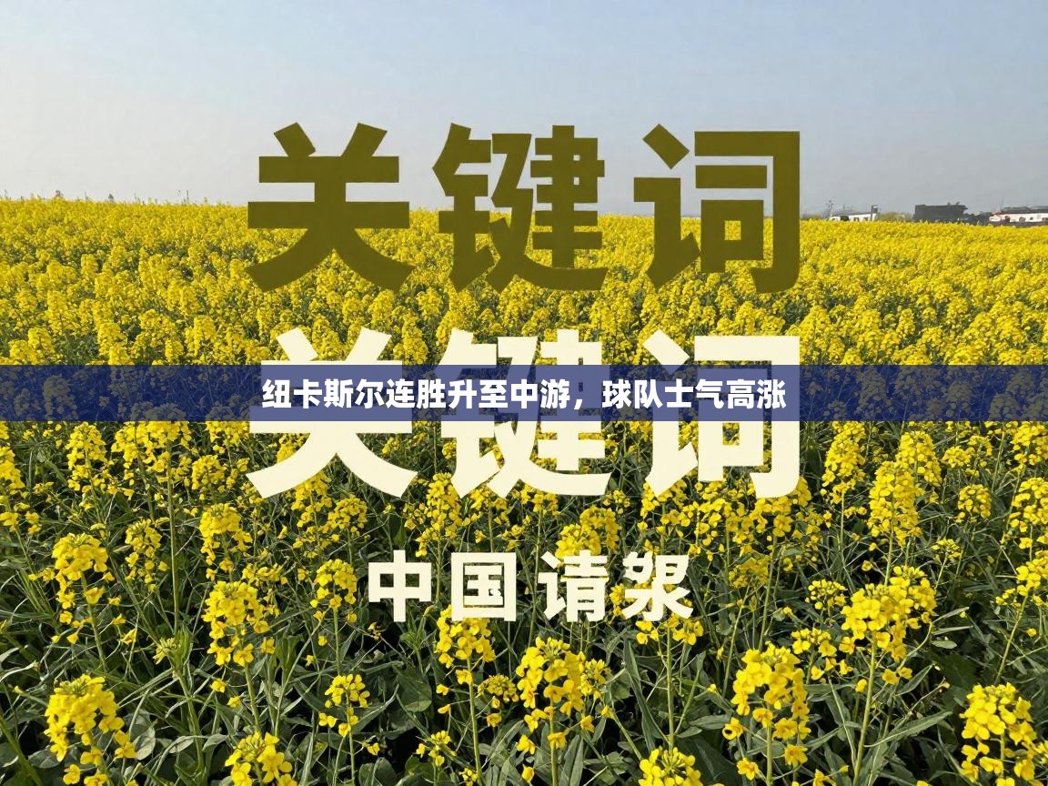 纽卡斯尔连胜升至中游,球队士气高涨 第2张