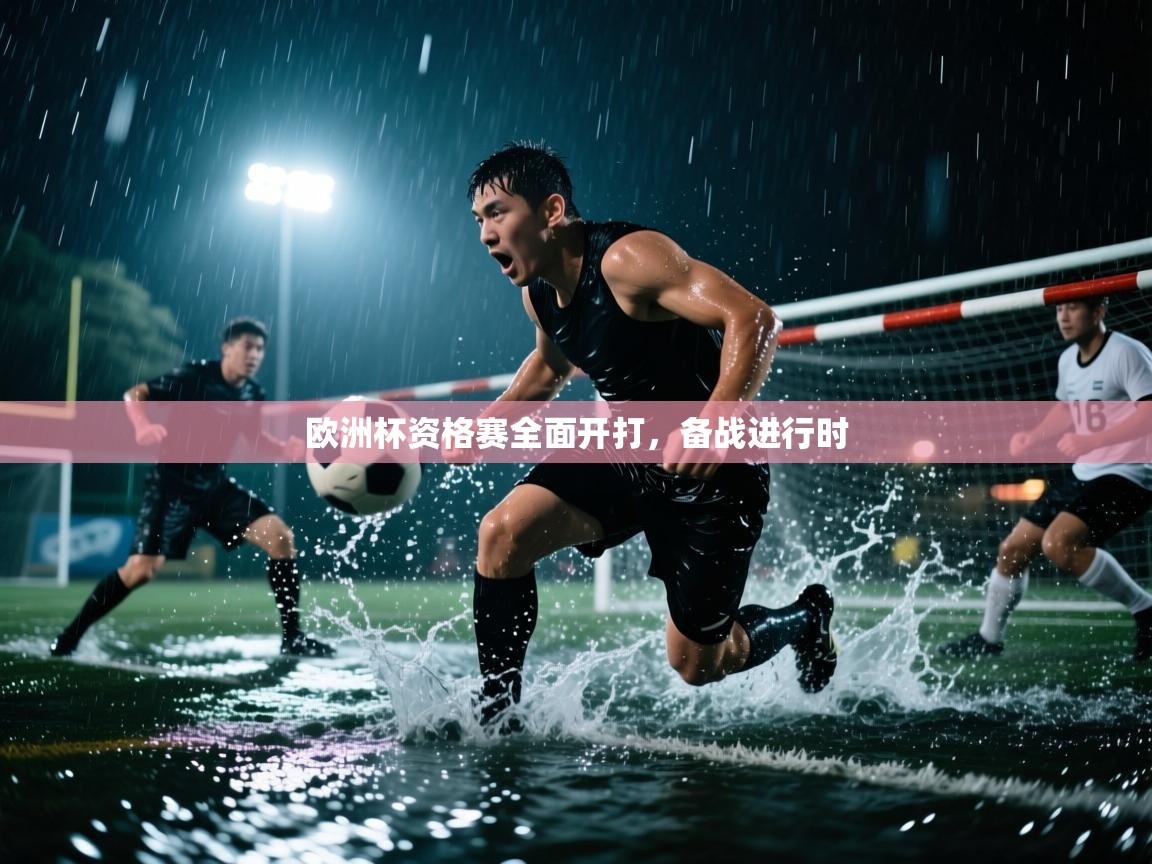 欧洲杯资格赛全面开打，备战进行时  第2张