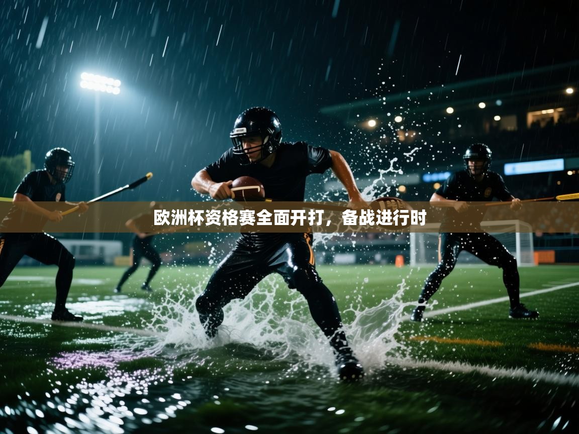 欧洲杯资格赛全面开打，备战进行时  第1张