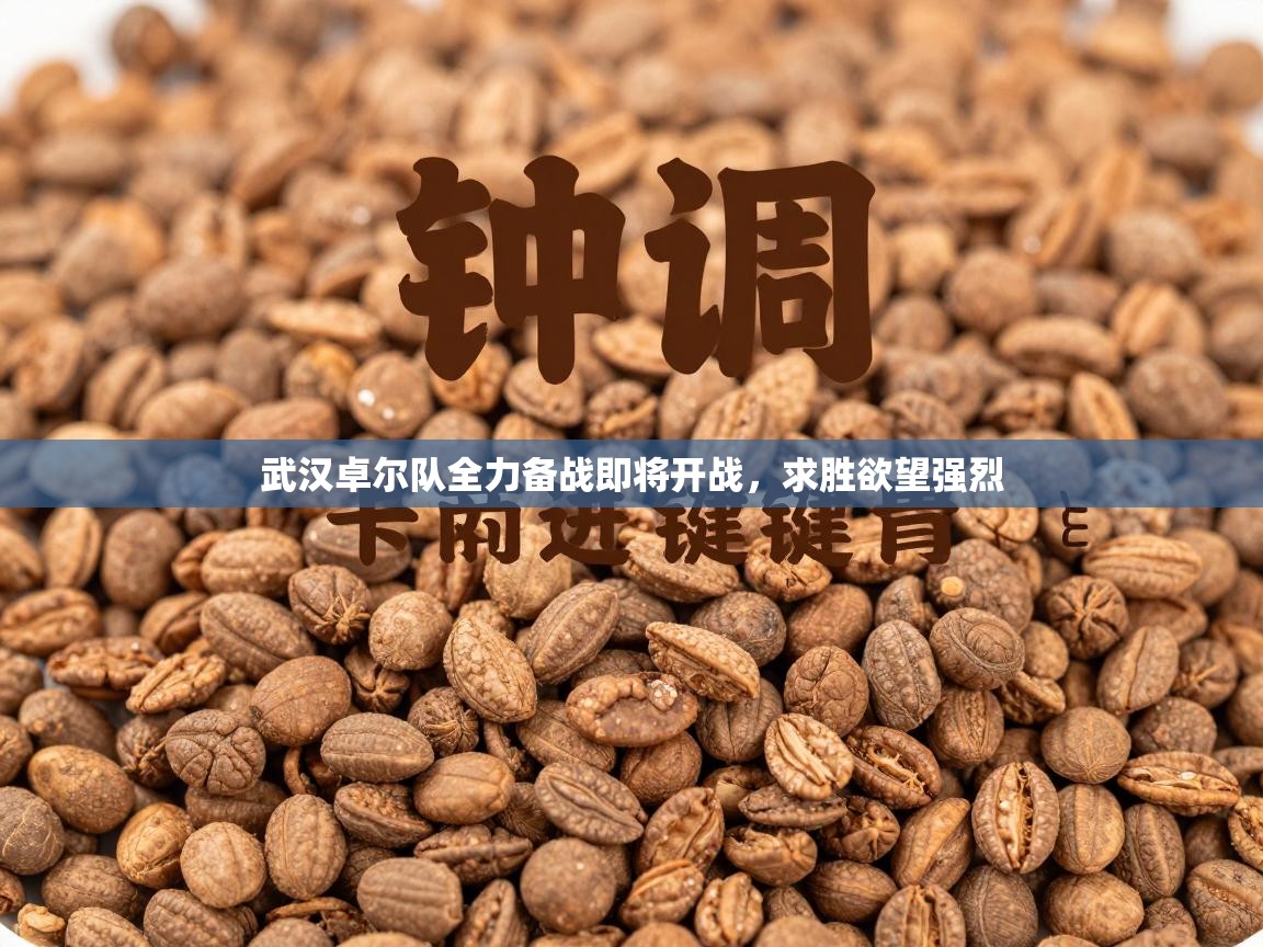 武汉卓尔队全力备战即将开战，求胜欲望强烈  第1张