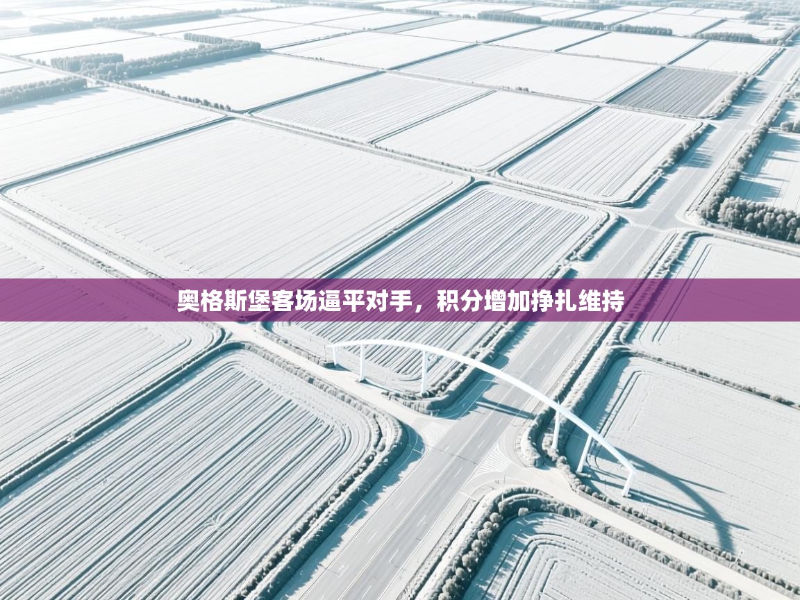 奥格斯堡客场逼平对手，积分增加挣扎维持  第1张