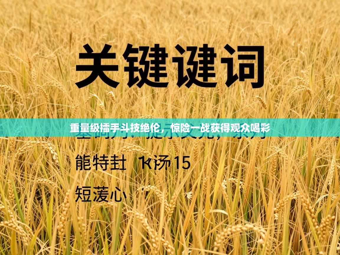 重量级擂手斗技绝伦，惊险一战获得观众喝彩  第1张