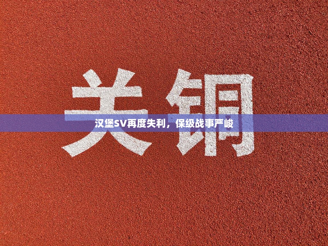 汉堡SV再度失利,保级战事严峻 第1张