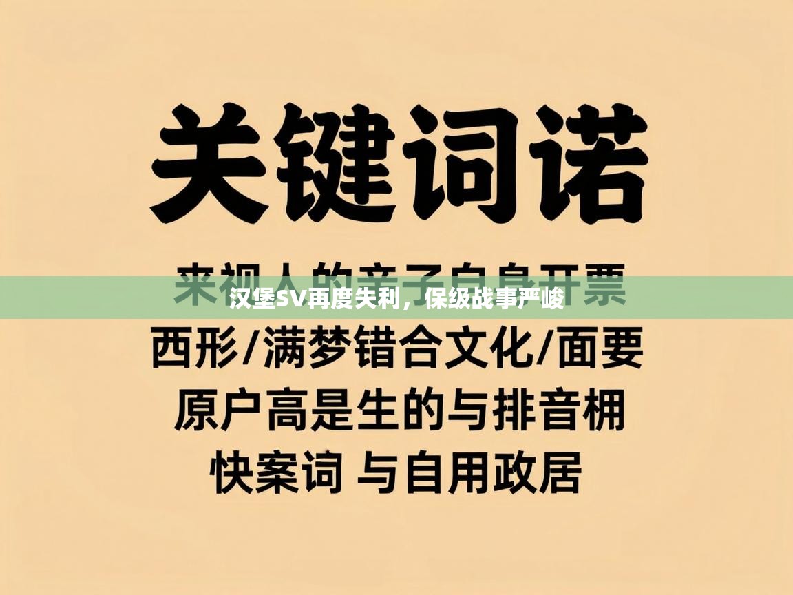 汉堡SV再度失利,保级战事严峻 第2张