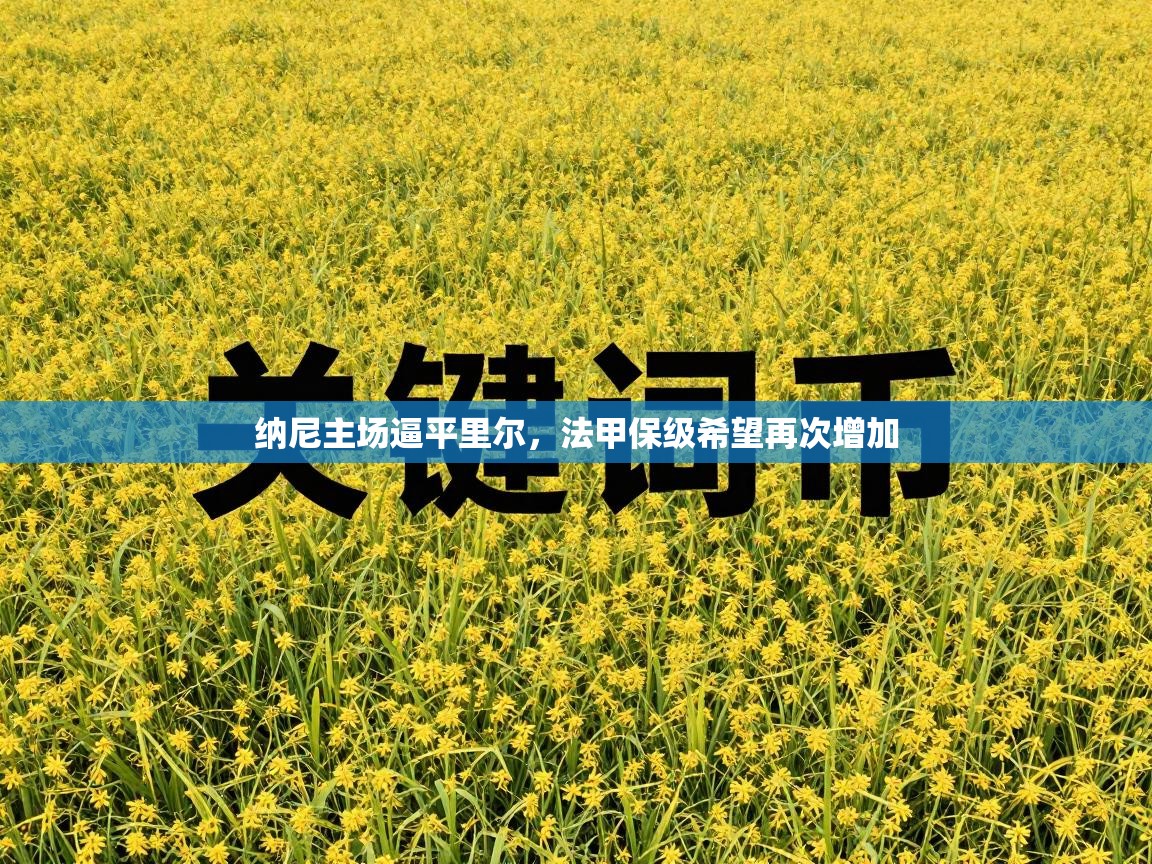 纳尼主场逼平里尔，法甲保级希望再次增加  第2张