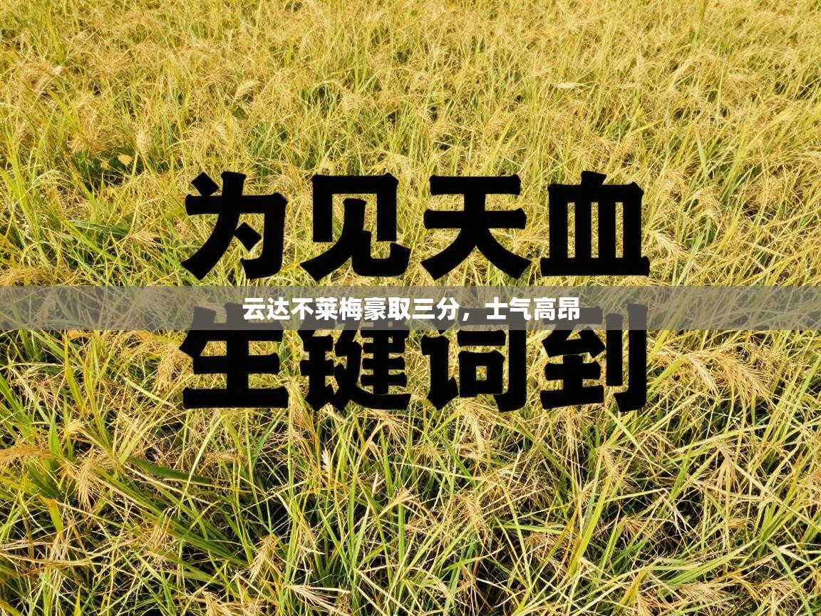 云达不莱梅豪取三分，士气高昂  第2张